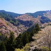 吉野山で桜を見られるレストランでランチ＆桜を見られるホテルで過ごす、贅沢な一泊二日旅