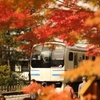 　紅葉・長寿寺〜源氏山公園