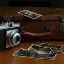 最近みた映画の感想と記録