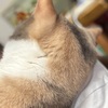 救いの差