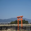 山の辺の道 北コース(奈良駅～春日大社～白毫寺～歌碑～崇道天皇陵～弘仁寺～白川ダム～石上神宮～天理駅)