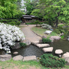 札幌　中島公園、北海道大学植物園・博物館
