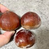 秋の味覚「栗」を楽しむ🌰＆『今夜の元気なナツメロ、コーナー紹介』