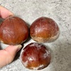 秋の味覚「栗」を楽しむ🌰＆『今夜の元気なナツメロ、コーナー紹介』