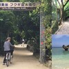 古くからあるものと自然の造形にこそ沖縄の魅力がある｜沖縄旅の思い出ﾌｫﾄｺﾝﾃｽﾄ