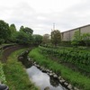 仙川（新川大橋-勝渕橋）・仙川公園（東京都三鷹市）