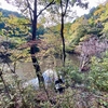 広芝池（奈良県宇陀）