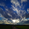 台風一過の夕空と向日葵。