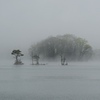 霧の曽原湖