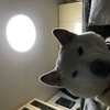 新年を迎えて