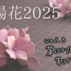 紫陽花2025・Vol.3｜ブローチ制作のこだわりと革100％への挑戦