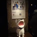四季の足あと
