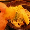 冷やし　ぶっかけ　うどん