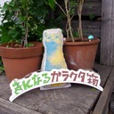 きになるガラクタ箱
