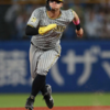 阪神タイガース（2024）ヤクルト戦～攻守共に持ち直し、カード3タテを阻止～【プロ野球】