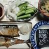 お魚大好き！