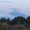 今朝の景色