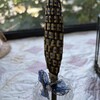 北海道からラベンダーが届いた