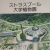 「世界の植物」73　ストラスブール大学植物園