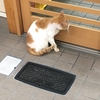『手創り市はじまります。』