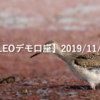 【SHONAN･LEOデモ口座】2019/11/6(水)の成績