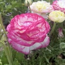 敏感肌、アレルギー体質の全身美容ライフ