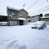 結構雪が積もりました