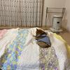 リビングで寝ることにしました