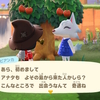 あつ森、離島住民厳選してきた。２回目で可愛い子がきた