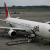  JL JA8365 B767-300