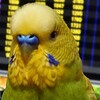 ９月４日の相場を見てみたよ　チュン