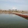 東山湖は桜が満開