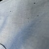 食べるのが下手くそで、水色シャツに島を描いてしまった