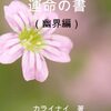 【運命の書】霊界編１。ソウルメイトの説得。生まれる前に決めること