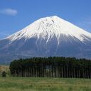 和の国の心意気