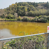 武生水地区の池（仮称）（長崎県壱岐）