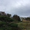 心通う