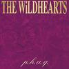 The Wildhearts - P.H.U.Q.