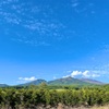 早く形にしなければと焦らなくていい〜何も見えなくても大丈夫