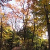 玉川上水_中央公園~鎌倉橋（東京都小平市）