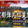 京都 弾丸 紅葉旅【後編】出発ギリギリまで景色を楽しみたい♪２日間で巡った総合計は？楽天スーパーSALE で超お得クーポン目白押し！JAL国内線 リーベイツで過去最高還元