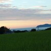 お元気ですか～？（笑）