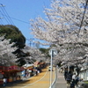 西公園へいってみた