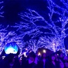 #渋谷のイルミネーション②
