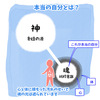 真理の片鱗に触れる