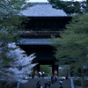京都・南禅寺三門の桜
