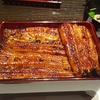 山中湖の天然鰻?