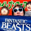 11月5日の動画