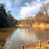 石神井公園と六義園