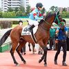 １６日に帰厩。次走は来月１０日の阪神・ダ１２００ｍを予定しています。☆イルデレーヴ